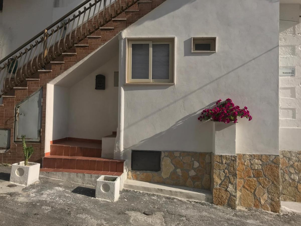 Casa Vacanze Flora Пескичи Экстерьер фото
